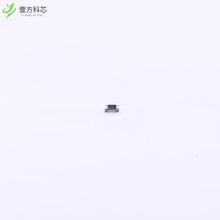 RC0402JR 62.5mW全新正品 079R1L ±5% 9.1Ω 原厂原装
