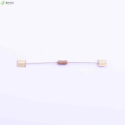 原厂原装2E1100A 1A 250V 熔断式全新正品