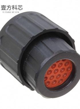 原厂原装RTS6BS14N19SHEC03 CONN PLG HSG FMALE 1