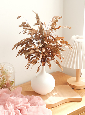 永生小盼草干花花束家居装饰摆件