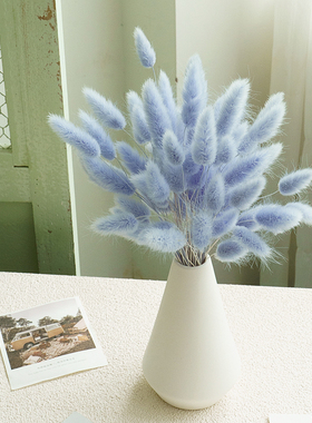 兔尾草干花花束家居装饰摆件ins网红家居客厅插花摆件摄影道具