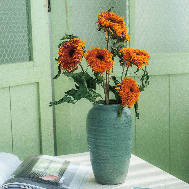 泰迪向日葵干花花束家居装饰摆件网红梵高向日葵插花花材摄影道具