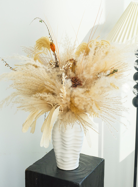 天然干花花束芦苇拂尘蒲苇草装饰花瓶摆件家居客厅卧室桌面装饰品