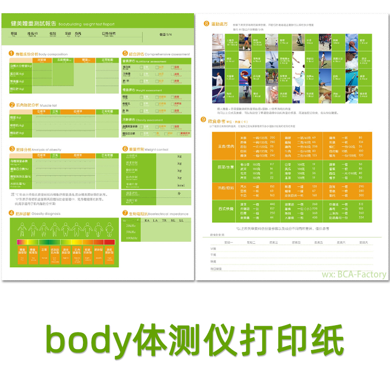 body体测纸健身房体测仪打印纸私教工作室体脂表格体成分报告纸