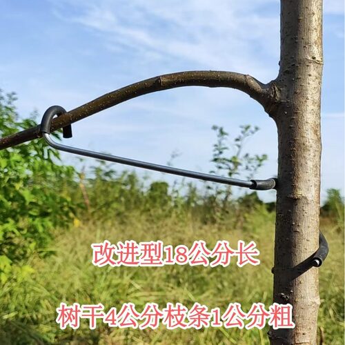 果树压枝神器拉枝定型器固定器树枝m型压弯开角别枝器苹果树开拨