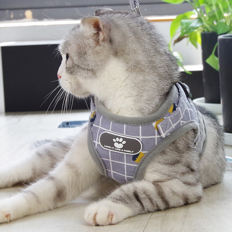 猫绳防挣脱猫咪牵引绳背心式猫绳子遛猫绳外出专用猫链子猫用品