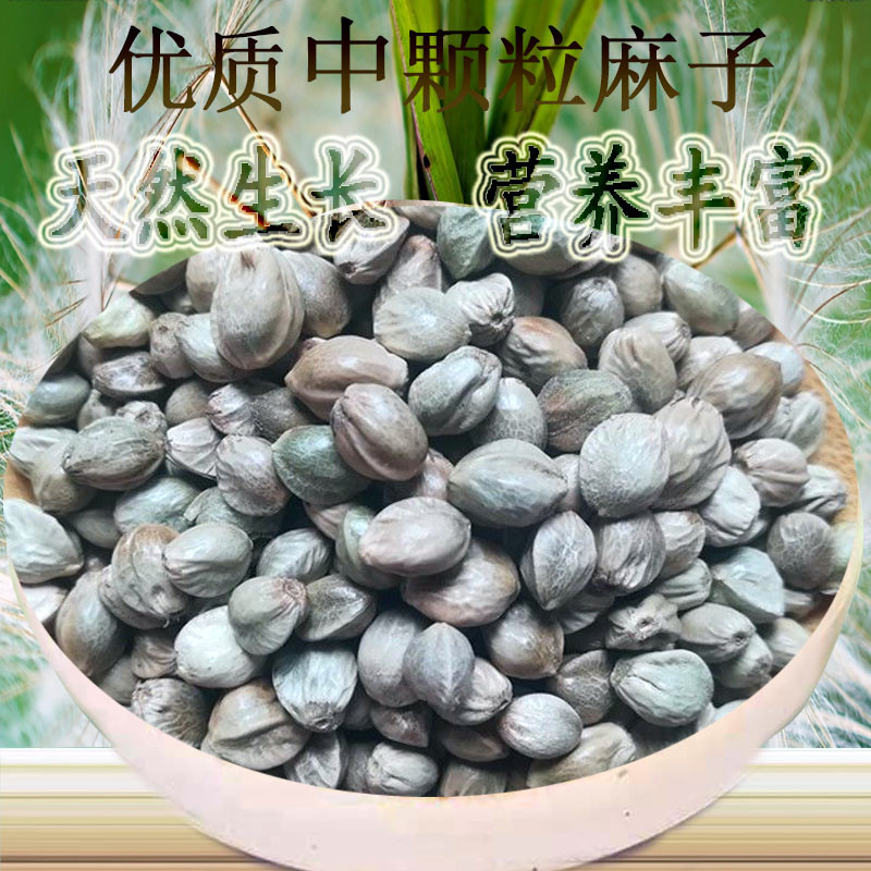 5斤新手工火麻籽仁仓松鼠鸽子虎皮牡...