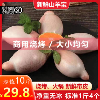 羊蛋新鲜羊腰子冷冻羊睾丸内外腰商用羊球羊卵子烧烤食材清真羊宝