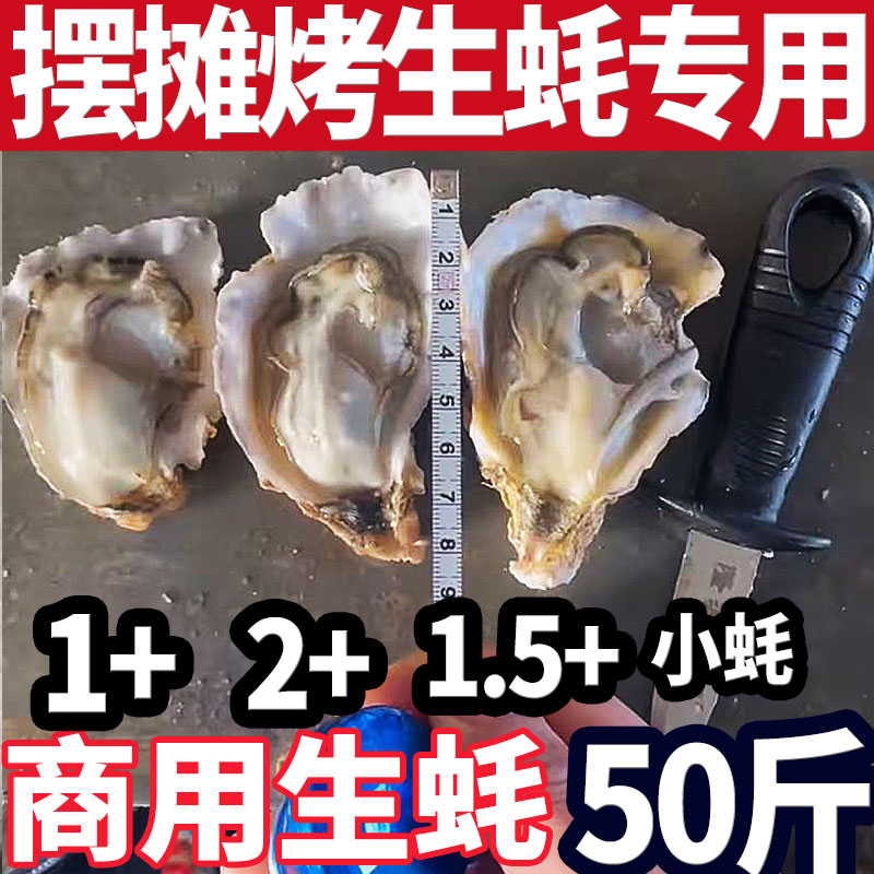 50斤1+1.5+2+摆摊烤生贝类制品