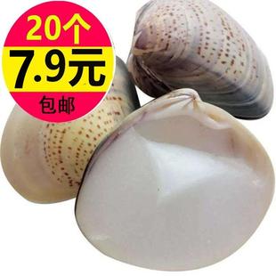 老上海蛤蜊油哈螺壳河蚌防裂半壳油利油