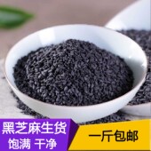2025年云南农家新货黑芝麻生 乡下生芝麻新货纯天然油麻孕妇500g