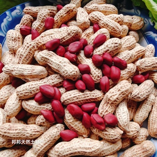 湖南衡阳祁东农家自种老品种红皮小籽花生现剥花生米新货种子级