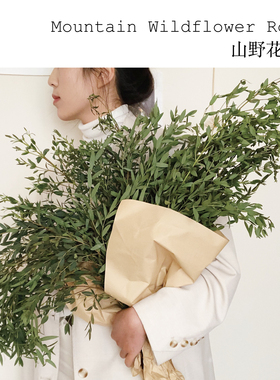 山野花间｜尤加利细叶新鲜配叶云南基地直发安神助眠瓶插水养空运