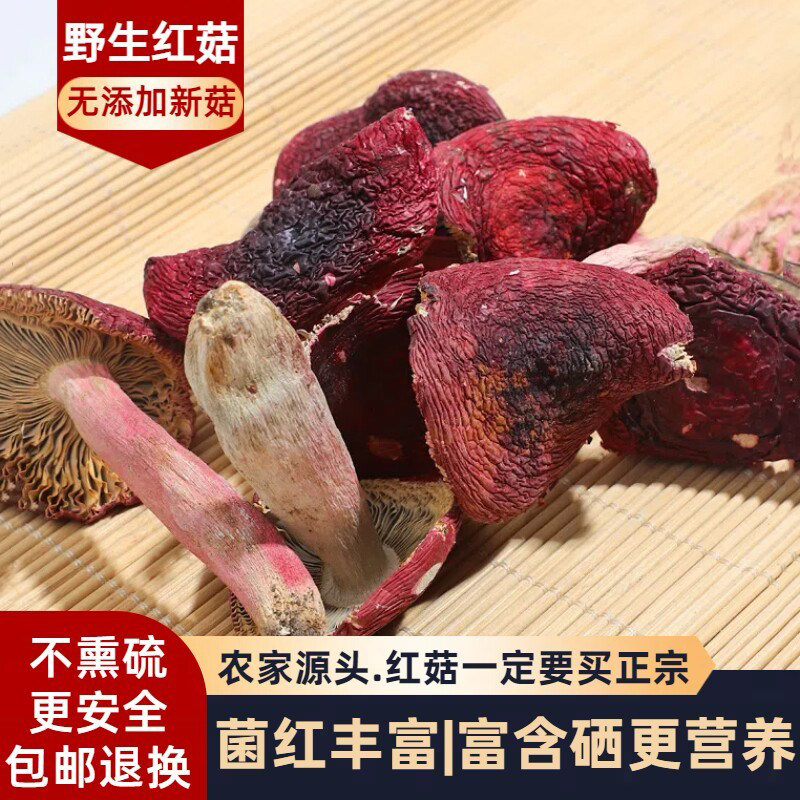 郝劭文福建正宗三明野生红菇500g
