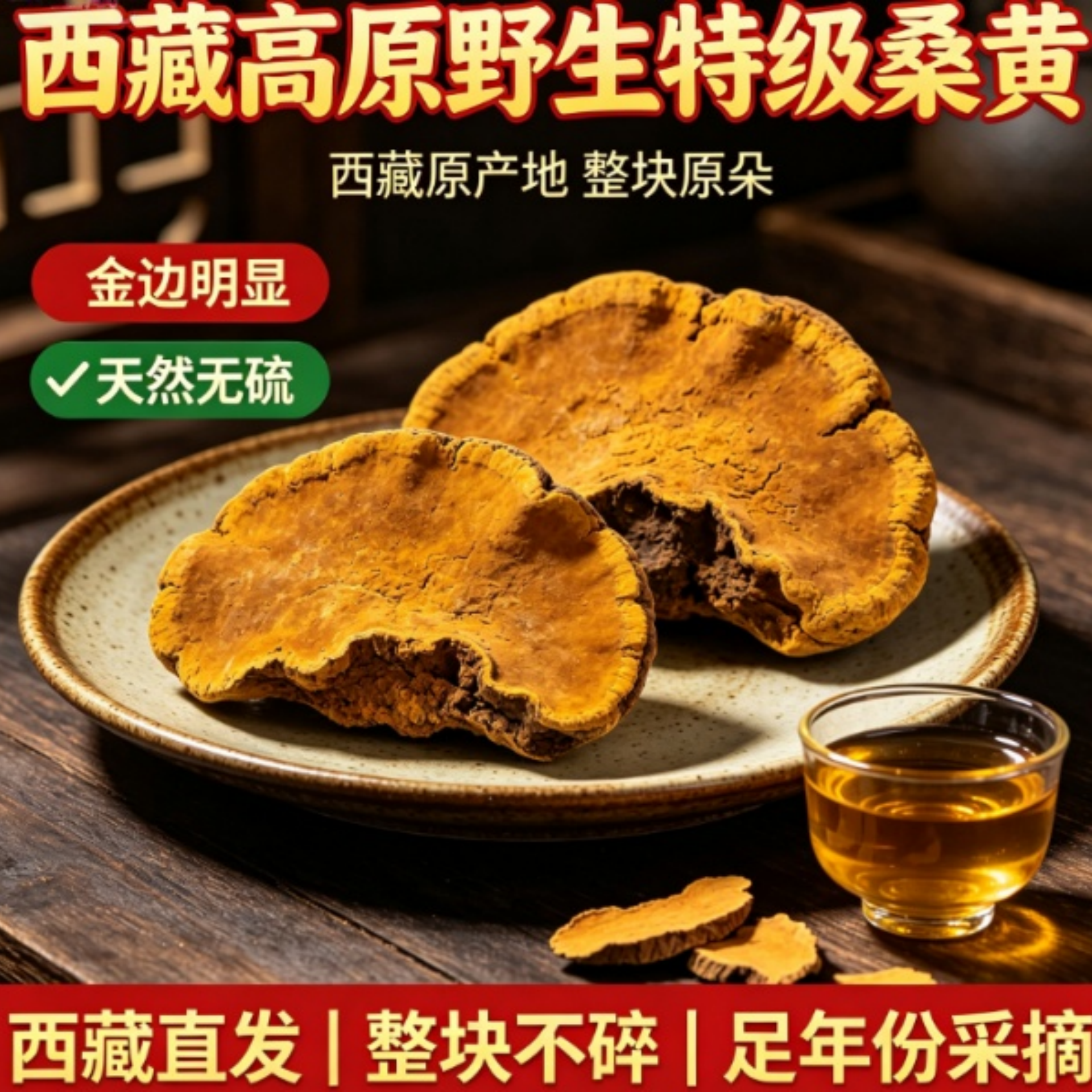 西藏高原野生桑黄特级整枝500g正品桑树金边桑黄中药材泡水煲汤