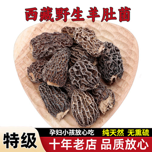 野生羊肚菌头茬干货非云南羊肚菌