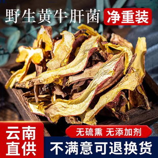 云南野生黄牛肝菌干货新货云南特产见手青黄牛肝菌红葱牛肝菌净重