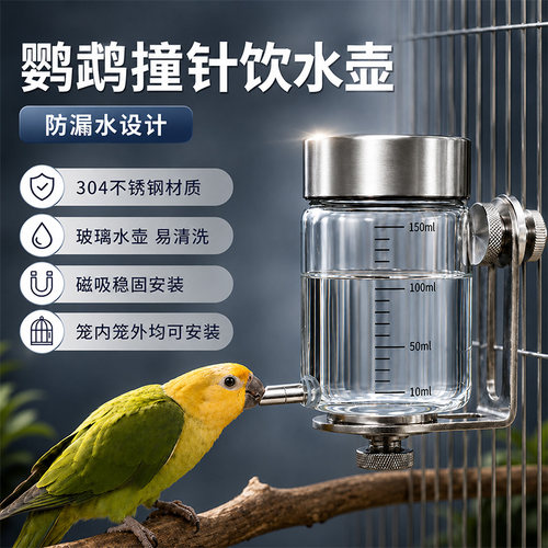 鹦鹉撞针饮水器磁吸玻璃自动喂水