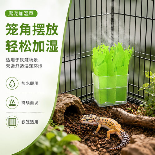 爬宠箱物理加湿保湿器造景加湿草