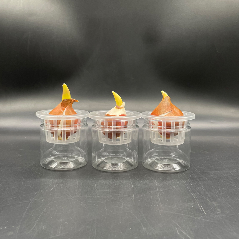 透明塑料水培花盆圆柱形带定植篮水果蔬菜绿植可水培豆子种子花卉