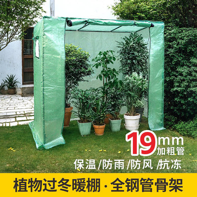 tmtgh室内外菜棚西红柿多肉植物