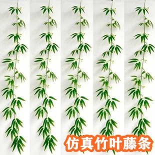 仿真竹叶藤条假竹子枝装饰造景支塑料植物缠绕小绿叶毛竹藤蔓柳条