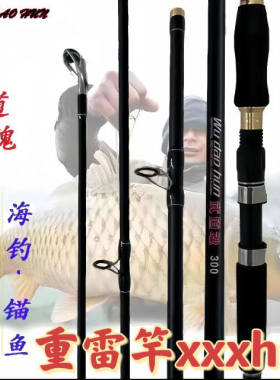 雷强竿雷强竿武道魂碳素
