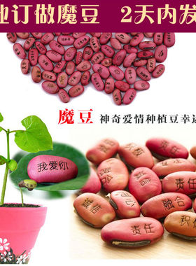 神奇魔豆种子祝福带字印有植物