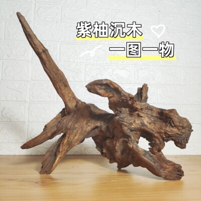 沉木鱼缸造景一物一图
