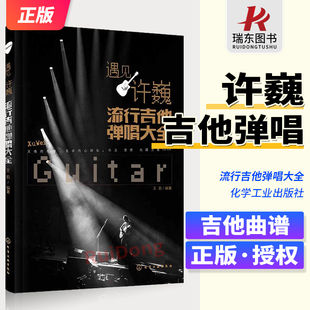 遇见许巍 流行吉他弹唱大全 吉他曲谱教程初学者入门基础书流行歌曲经典教材初学自学基本谱集指弹曲谱教学零基础乐谱弹唱书籍