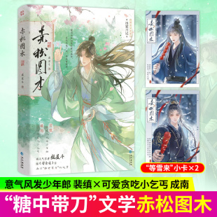 赤松图木 盛星斗著再写糖中带刀文学 意气风发少年郎·裴缜×可爱贪吃小乞丐·成南 新增番外出霖川记青春文学言情小说正版书籍