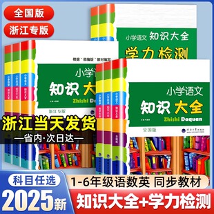 2025版 人教部教材适用全国通用小学生一二三四五六年级知识点学习手册小升初辅导资料工具书 小学语文知识大全浙江专版