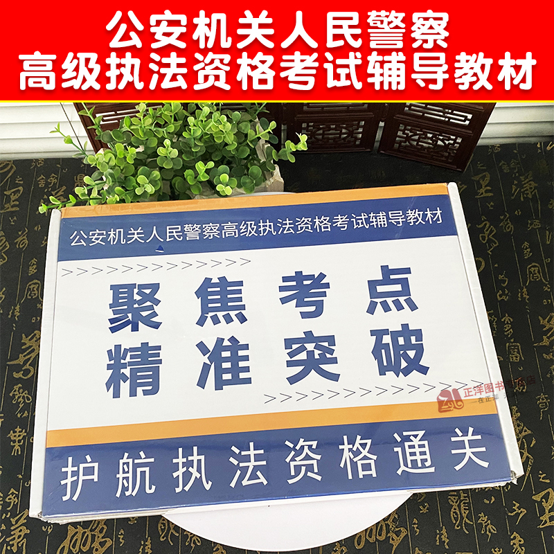 2025高级执法资格考试辅导教材