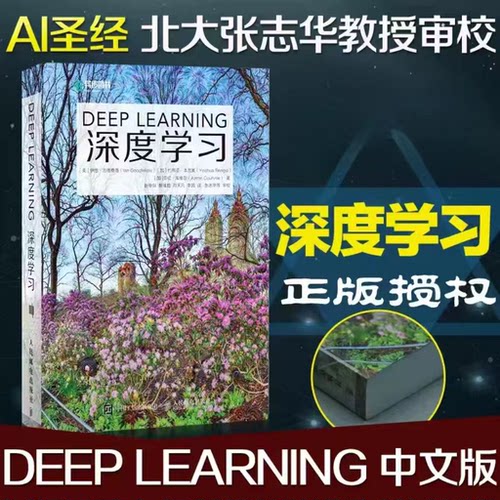 【正版书籍】深度学习 deeplearning中文版 神经网络框架算法机器人系统编程机器 花书AI书籍神经网络框架算法 学习人工智能教程