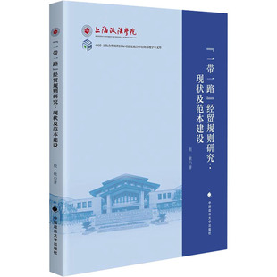 经贸规则研究 现状及范本建设 中国政法大学出版 2023新书 社9787576411737 国际法 一带一路 自由贸易协定 正版 殷敏
