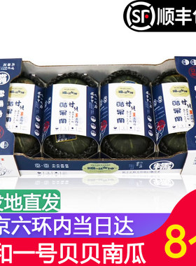 蹦跶女神酷栗南迷你贝贝小南瓜