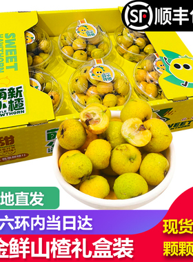 【顺丰包邮】黄山楂鲜果小黄丸糖葫芦当季水果甜黄山楂新鲜礼盒装