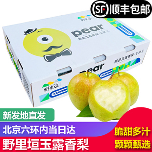 【顺丰包邮】野里垣山西隰县玉露香梨8斤礼盒装新鲜水果梨子脆甜