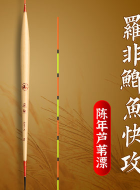 带壳芦苇硬尾罗飞鱼漂