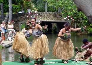 夏威夷草裙舞花环舞台表演服 派对草裙舞加厚裙80CM 稻草色