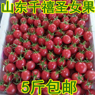 山东千禧小番茄5斤新鲜超甜圣女果釜山88樱桃小番茄农家包邮