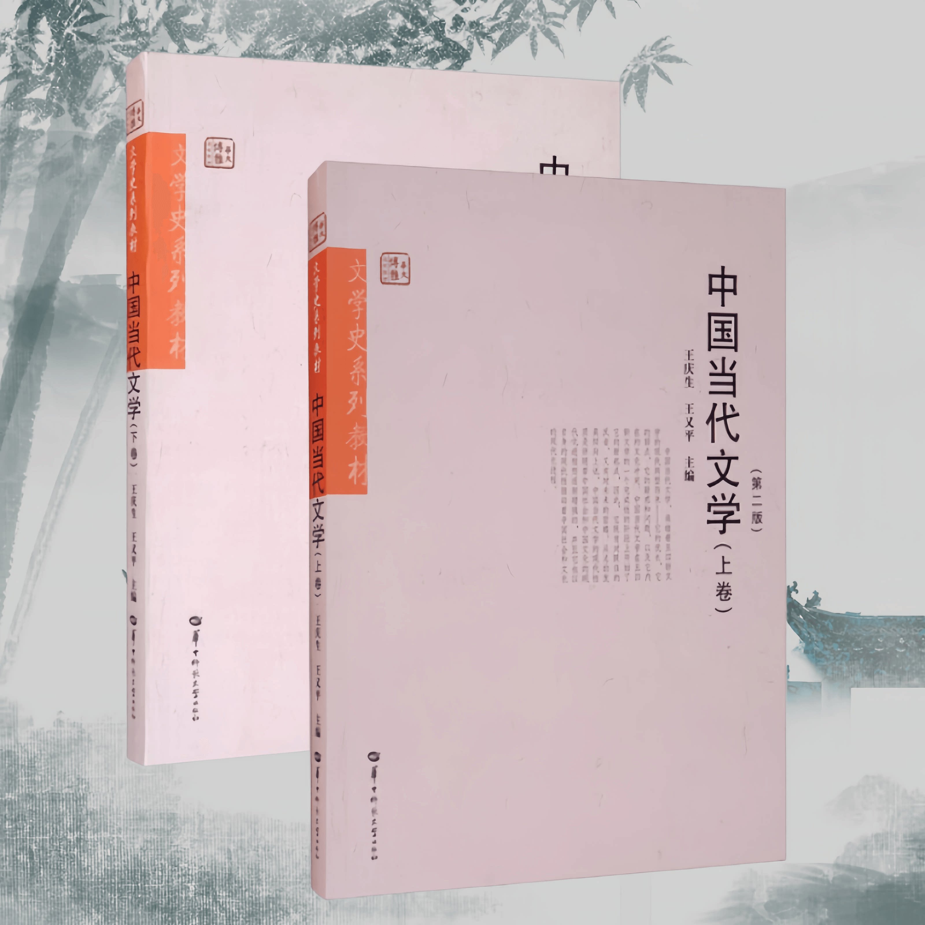 中国当代文学上下卷第二版王庆生图片