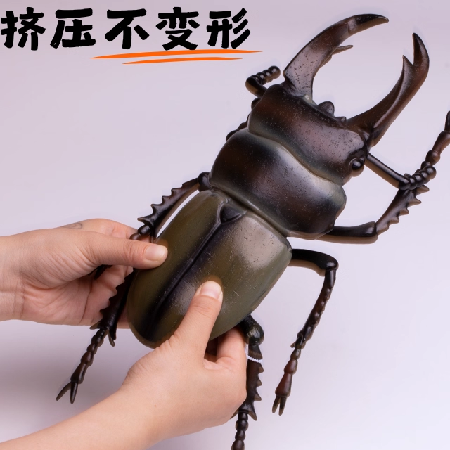 2025超大甲虫益智模型玩具塑胶锹形虫长戟虫儿童早教认知
