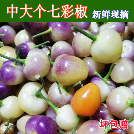 新鲜七彩椒辣椒广西特产农家五色辣椒泡椒灯笼椒精选中大个五彩椒