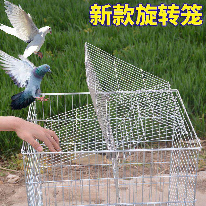 自动连续进鸽子笼加密粗防锈天落笼只进不出收鸽笼户外阳台翻转笼图片