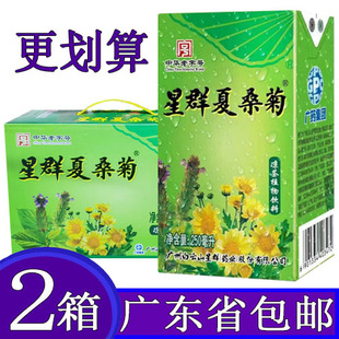 星群夏桑菊凉茶植物饮料250ml/16盒*2箱整箱装含金银花仙草罗汉果