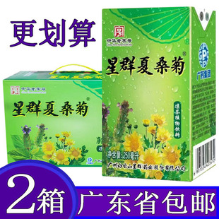 星群夏桑菊凉茶植物饮料250ml 2箱整箱装 含金银花仙草罗汉果 16盒