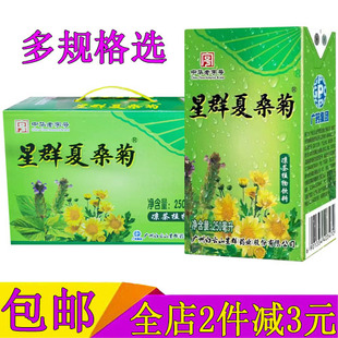 星群夏桑菊凉茶植物饮料250ml/24盒整箱装含金银花仙草罗汉果饮品