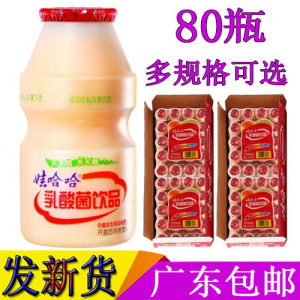 儿童整箱乳酸菌饮品广东包邮