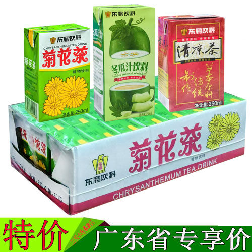 东鹏菊花茶植物饮料250ml/24盒整箱装冬瓜茶夏季清凉茶广东包邮 - 封面